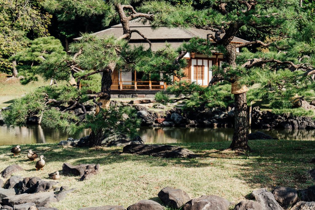 Traditional Japanese Gardens